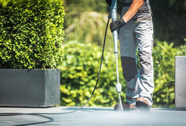 Best Gutter Cleaning  in Alpine, NJ