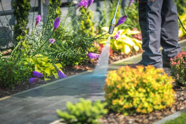 Professional Pressure Washing Services in Alpine, NJ