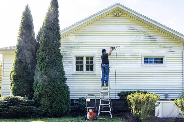 Best Soft Washing  in Alpine, NJ